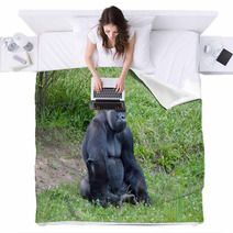 Gorilla Blankets 67133744