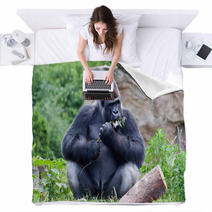 Gorilla Eats A Branch Blankets 68020173