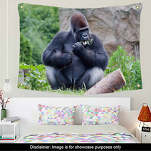 Gorilla Eats A Branch Wall Art 68020173