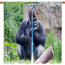 Gorilla Eats A Branch Window Curtains 68020173