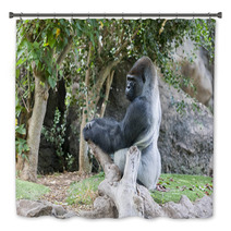 Gorilla In Loro Parque Tenerife Spain Bath Decor 68029560