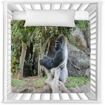 Gorilla In Loro Parque Tenerife Spain Nursery Decor 68029560