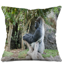 Gorilla In Loro Parque Tenerife Spain Pillows 68029560