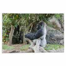 Gorilla In Loro Parque Tenerife Spain Rugs 68029560