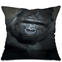 Gorilla Low Key Pillows 46090130