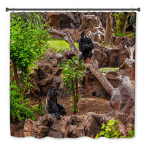 Gorilla Monkey In Park At Tenerife Canary Bath Decor 56537979