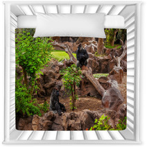 Gorilla Monkey In Park At Tenerife Canary Nursery Decor 56537979