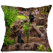 Gorilla Monkey In Park At Tenerife Canary Pillows 56537979