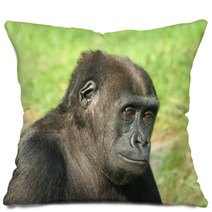 Gorilla Pillows 1475645
