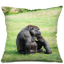Gorilla Pillows 54777603