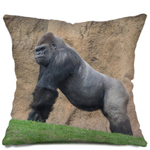 Gorilla Pillows 61787622