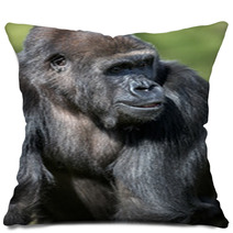 Gorilla Pillows 65409367