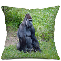 Gorilla Pillows 67133744