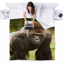 Gorilla Posing Blankets 20214003