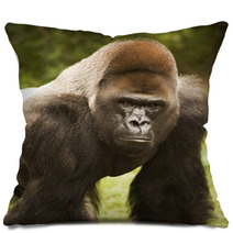 Gorilla Posing Pillows 20214003