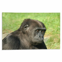 Gorilla Rugs 1475645