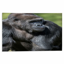 Gorilla Rugs 65409367