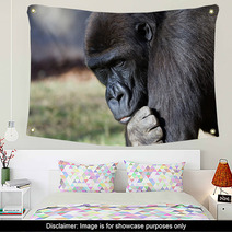 Gorilla Wall Art 10897278