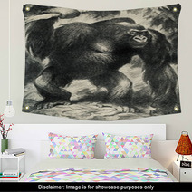 Gorilla Wall Art 55749645