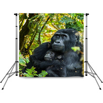 Gorillas Backdrops 68488176