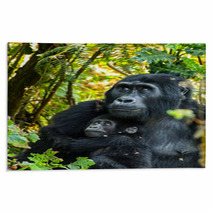 Gorillas Rugs 68488176
