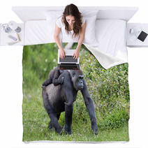 Gorille Et Son Petit De 3 Ans Blankets 64951199