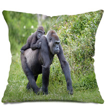 Gorille Et Son Petit De 3 Ans Pillows 64951199