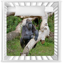 Gorille Femelle De 43 Ans Nursery Decor 69408725