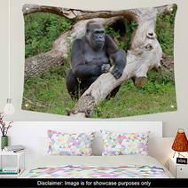 Gorille Femelle De 43 Ans Wall Art 69408725