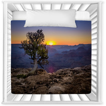 Grand Canyon National Park Arizona Nursery Decor 70909240