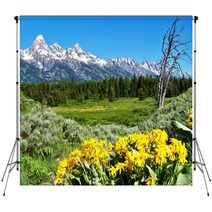 Grand Teton National Park With Yellow Flowers Backdrops 33850518