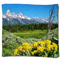 Grand Teton National Park With Yellow Flowers Blankets 33850518