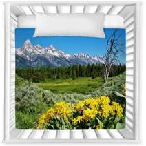 Grand Teton National Park With Yellow Flowers Nursery Decor 33850518