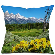Grand Teton National Park With Yellow Flowers Pillows 33850518