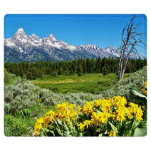 Grand Teton National Park With Yellow Flowers Rugs 33850518