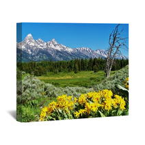 Grand Teton National Park With Yellow Flowers Wall Art 33850518