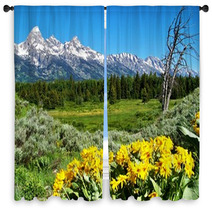 Grand Teton National Park With Yellow Flowers Window Curtains 33850518