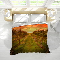 Grape Vine At Vineyard Under Idyllic Sunset Bedding 59586779