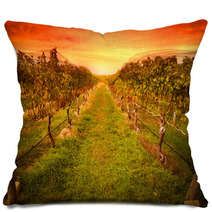 Grape Vine At Vineyard Under Idyllic Sunset Pillows 59586779