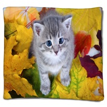 Gray Kitty On Yellow Leaves Blankets 35954656