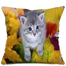 Gray Kitty On Yellow Leaves Pillows 35954656