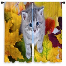 Gray Kitty On Yellow Leaves Window Curtains 35954656