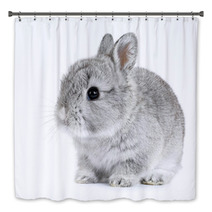 Gray Rabbit Bunny Baby Isolated On White Background Bath Decor 41283164