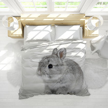Gray Rabbit Bunny Baby Isolated On White Background Bedding 41283164
