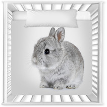 Gray Rabbit Bunny Baby Isolated On White Background Nursery Decor 41283164