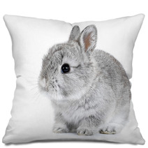 Gray Rabbit Bunny Baby Isolated On White Background Pillows 41283164