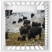 Grazing Bison Nursery Decor 59710184