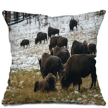 Grazing Bison Pillows 59710184