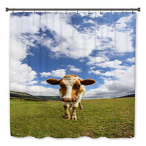 Great Cow Photographed With A Fisheye Lens Bath Decor 72236749