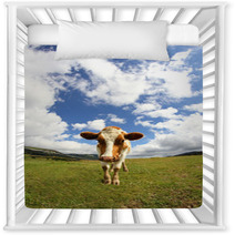 Great Cow Photographed With A Fisheye Lens Nursery Decor 72236749
